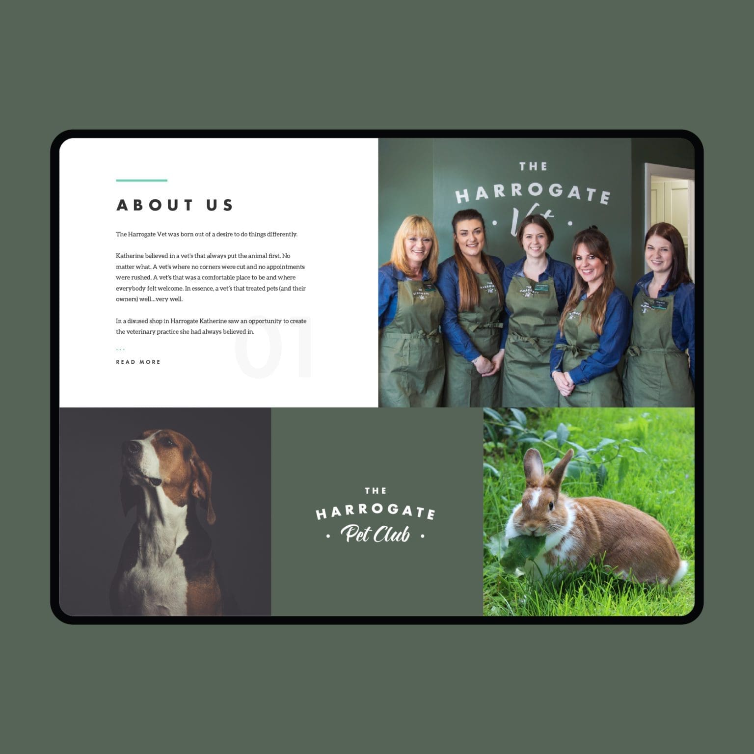 The Harrogate Vet Harrogate's No1 Vet Practice Bluestone98