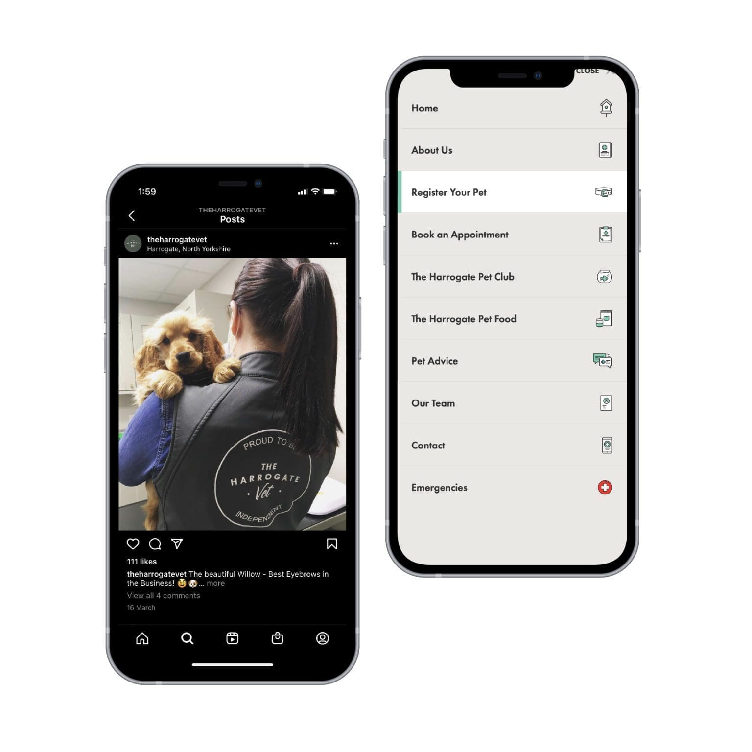 The Harrogate Vet Harrogate's No1 Vet Practice Bluestone98