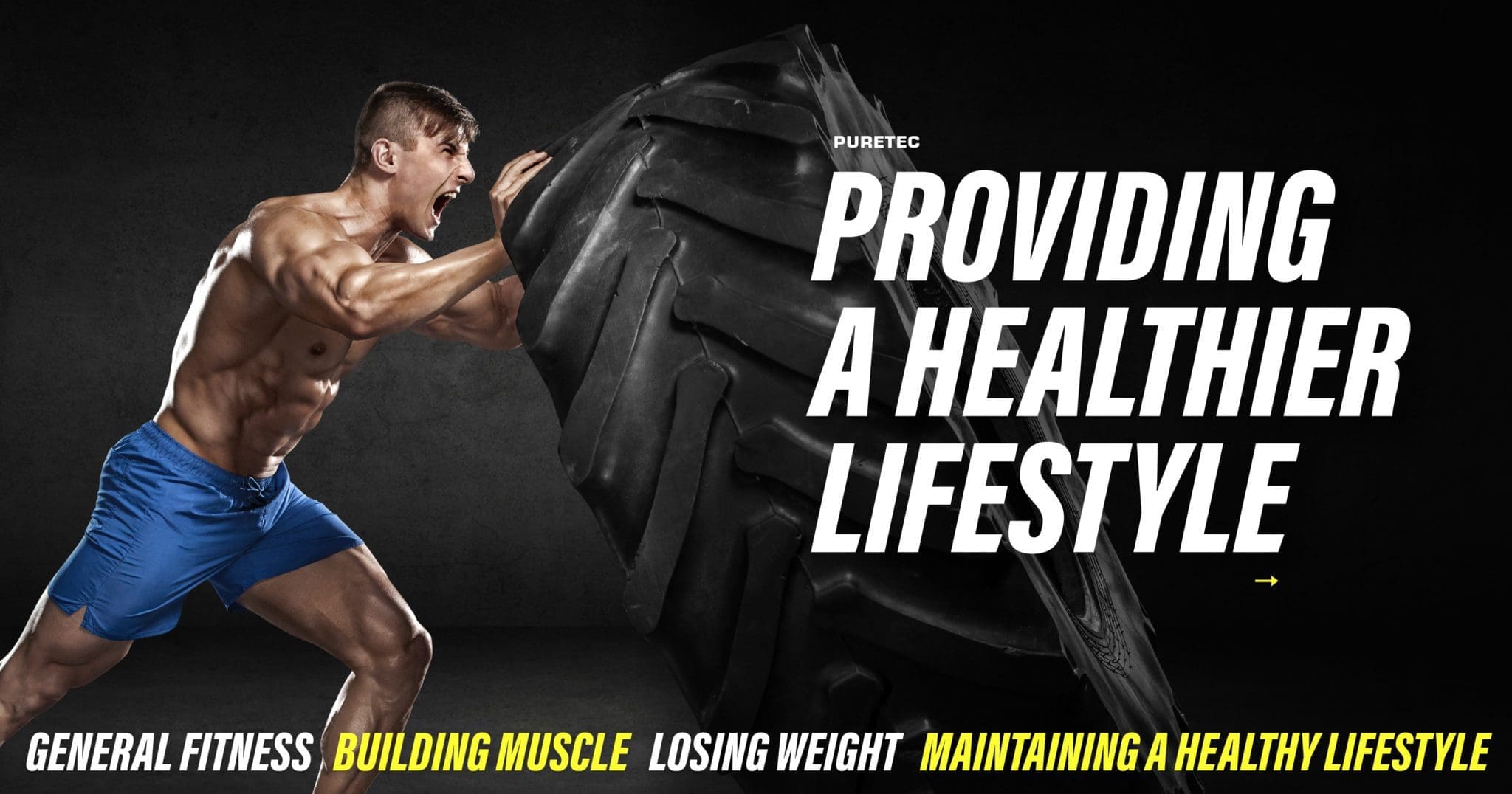 Puretec Fitness web design banner by bluestone98.com