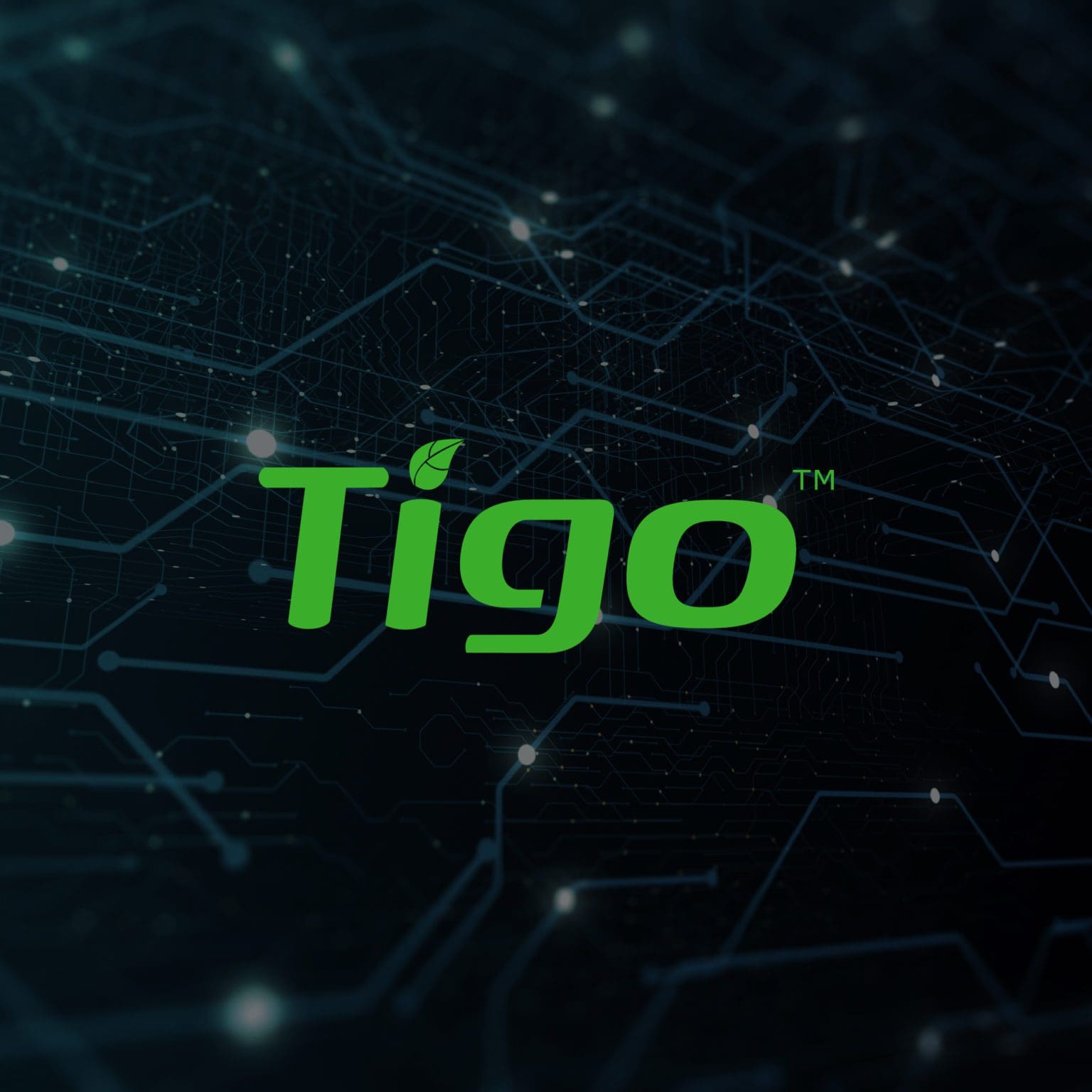 Tigo-01