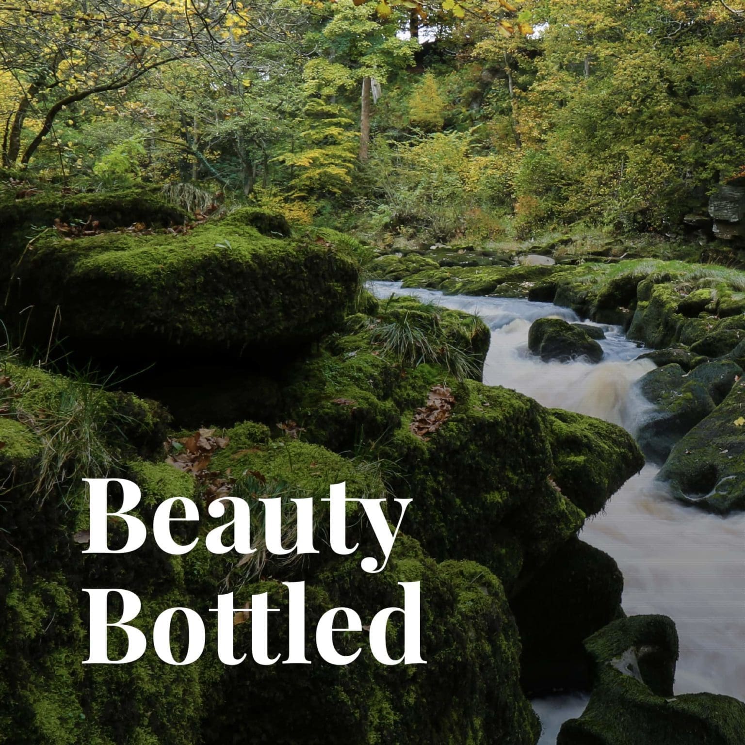 Sing Gin website graphics by Bluestone98 digital agency harrogate