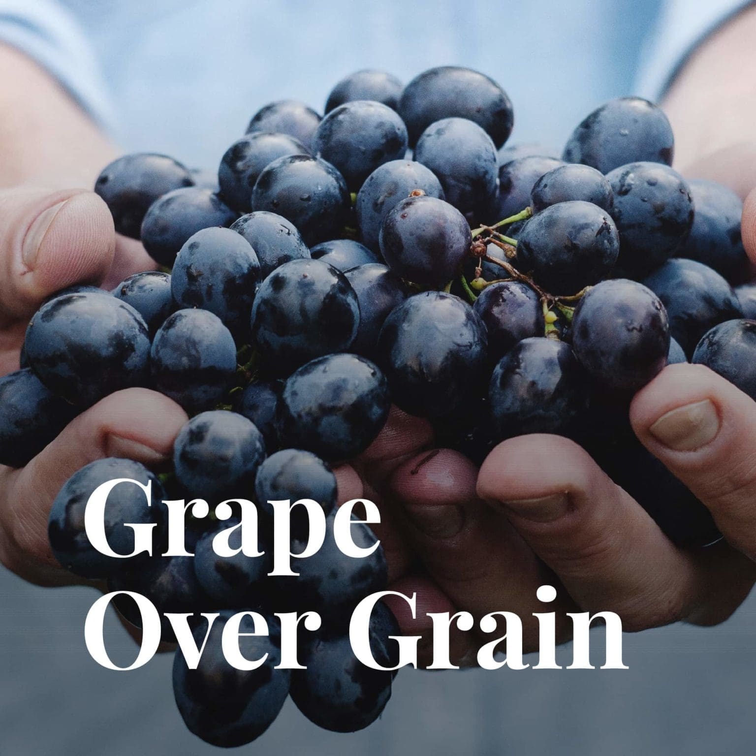 Sing Gin website banner graphics by Bluestone98 digital agency harrogate