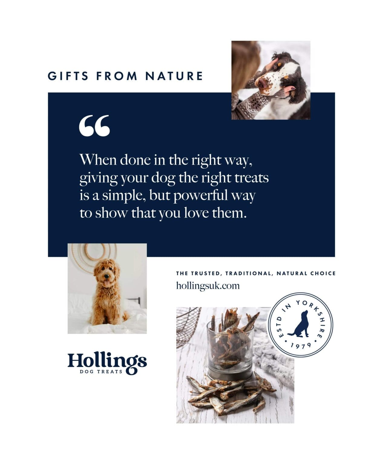 Hollings Dog Treats by Bluestone98 digital agency harrogate