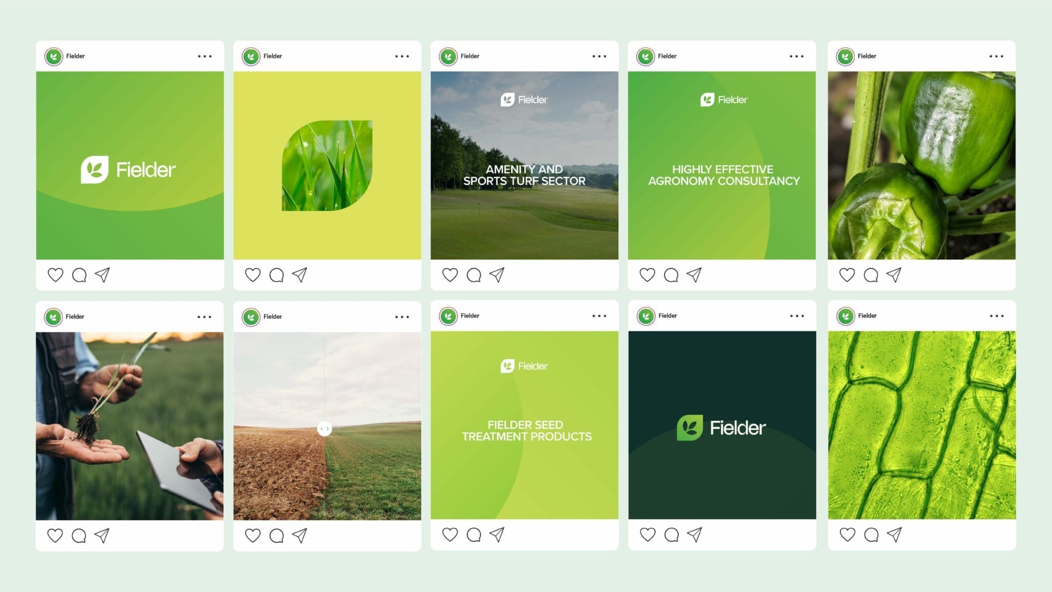 Fielder Nutrition branding and web design by Bluestone98