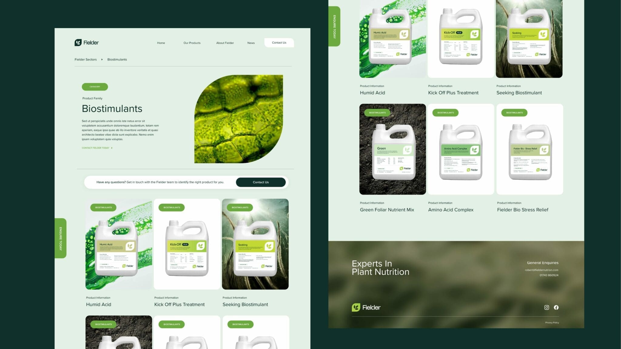 Fielder Nutrition branding and web design agency by Bluestone98