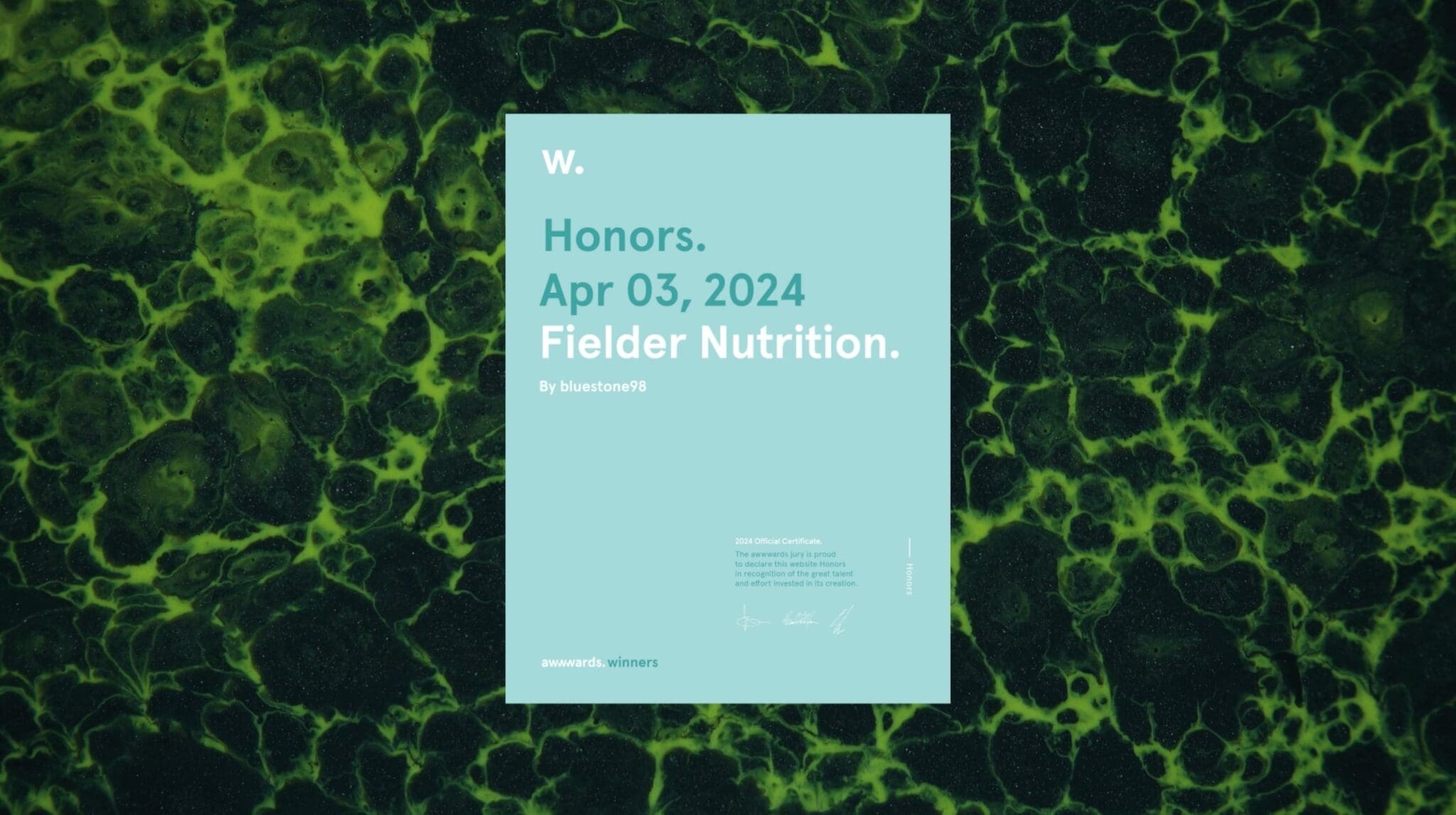 Fielder Nutrition branding and web design by Bluestone98. Awards.winner