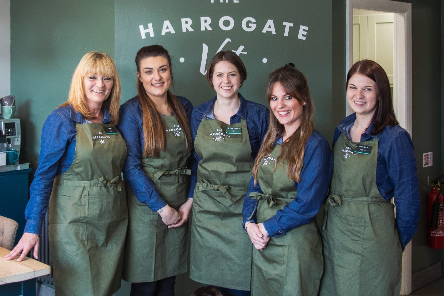 Veterinary Web Design Case Study: The Harrogate Vets