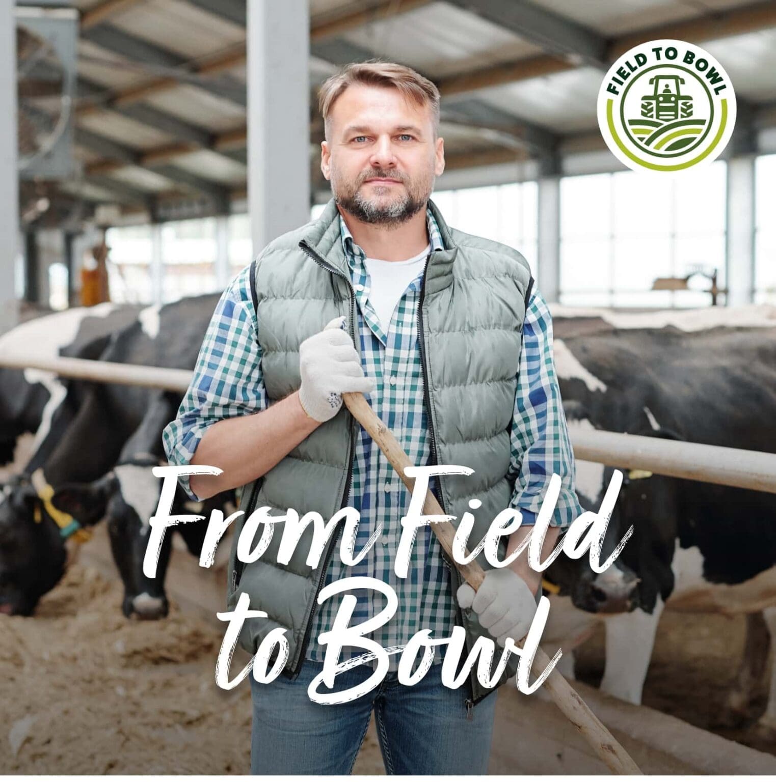 Pet Food Kitchen - Field to Bowl photography banner for the new Pet Food Kitchen website