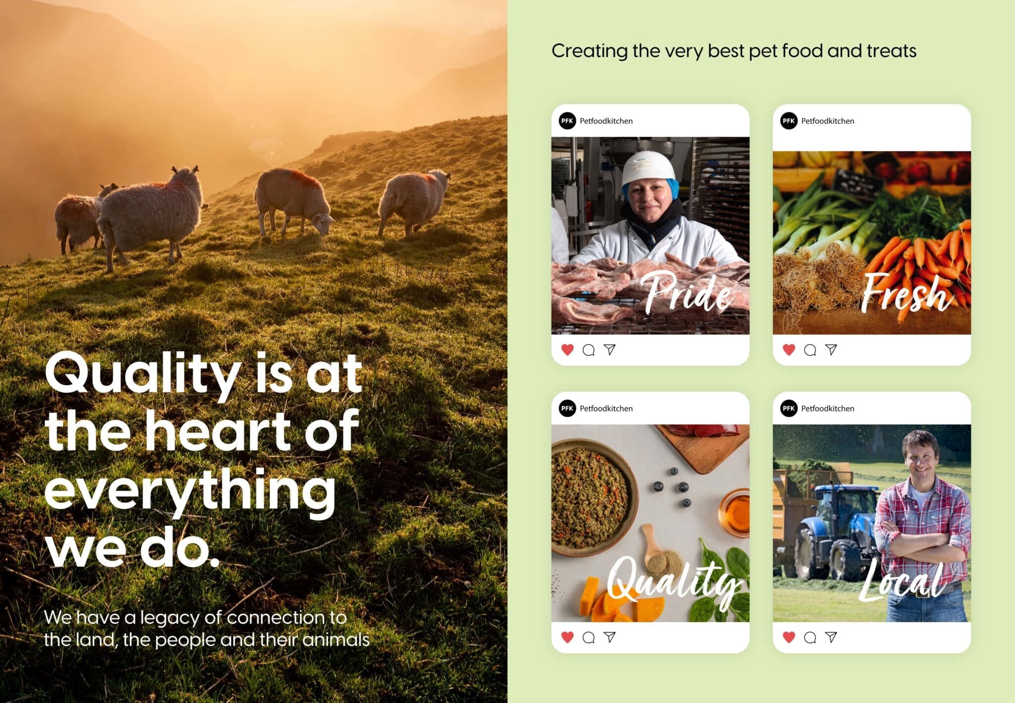 Pet Food Kitchen - Quality is at the art of everything we do photography banner for the new website