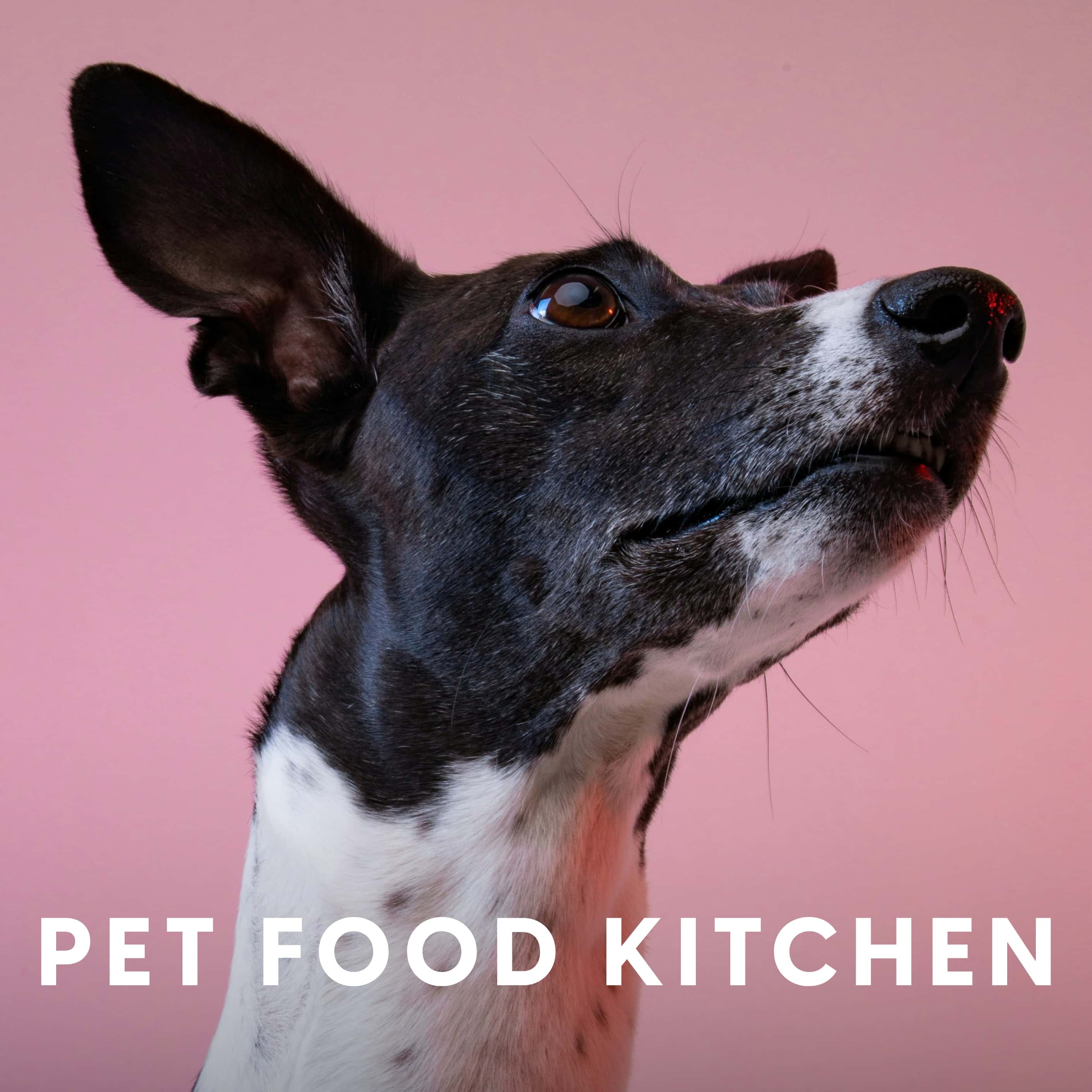 Pet Food Kitchen – Discover the exciting new brand and web design