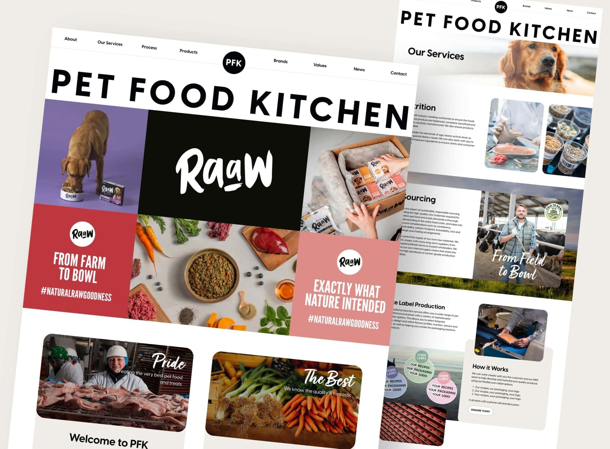 Pet Food Kitchen - Website initial creative visual created by Bluestone98