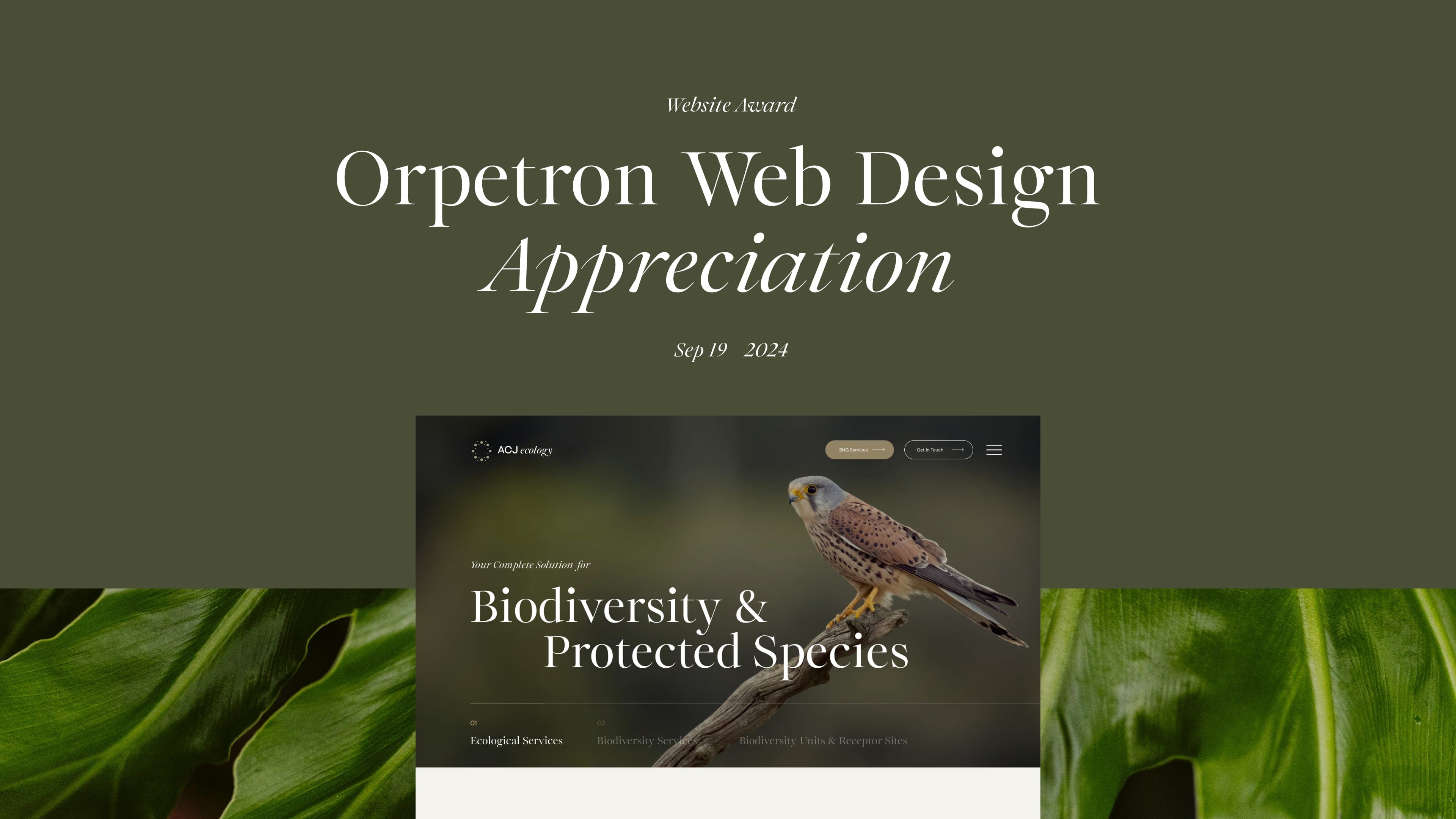 ECJ Ecology - Orpetron Website Design Appreciation Award to Bluestone98, The Future of Web Design in 2025, web design trends