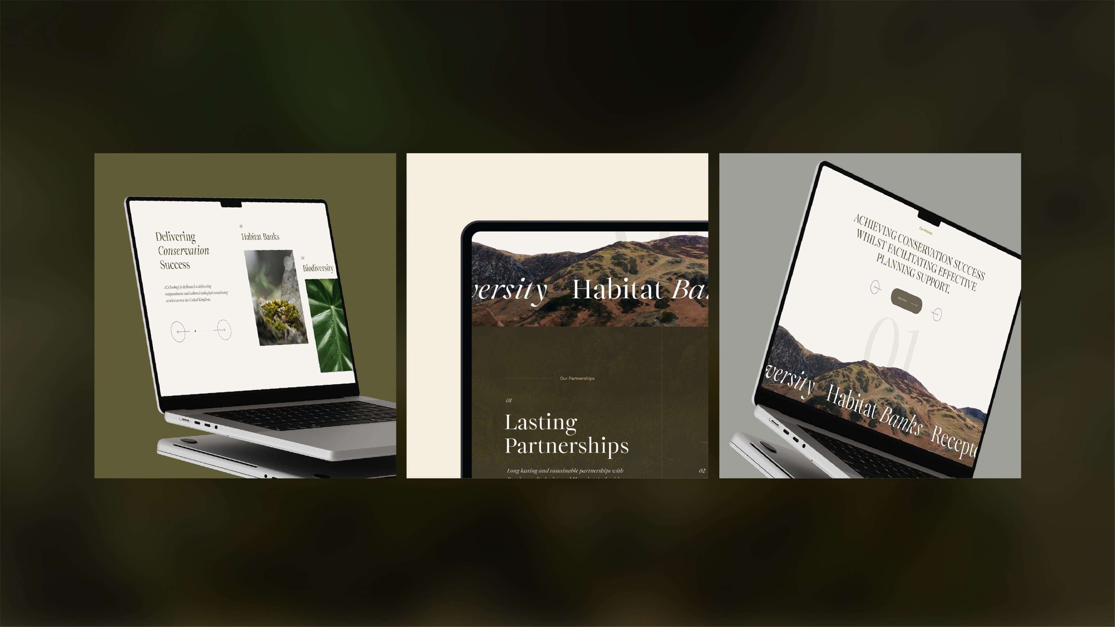 ACJ Ecology Website Design mobile design by bluestone98