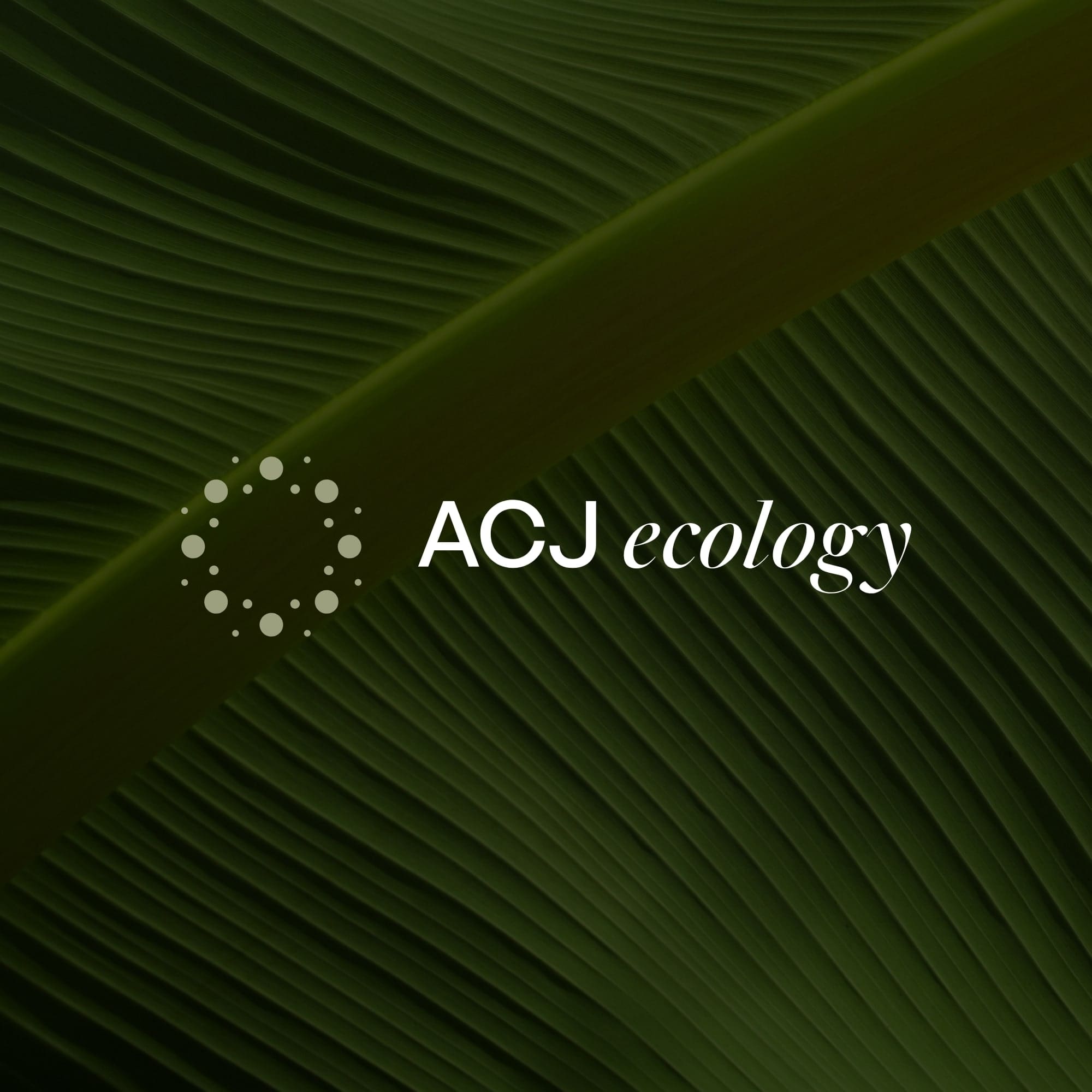 A New Brand & Award-Winning Website for ACJ Ecology