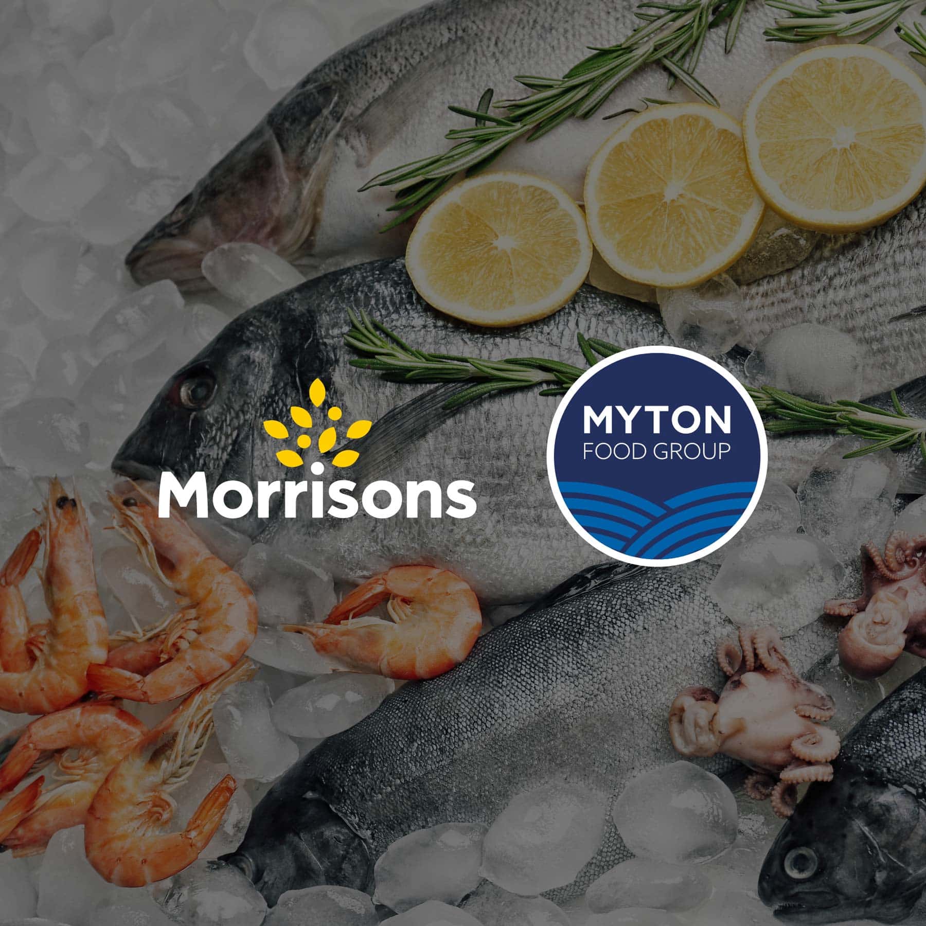 Web Design Leeds – Award-Winning Websites By Bluestone98