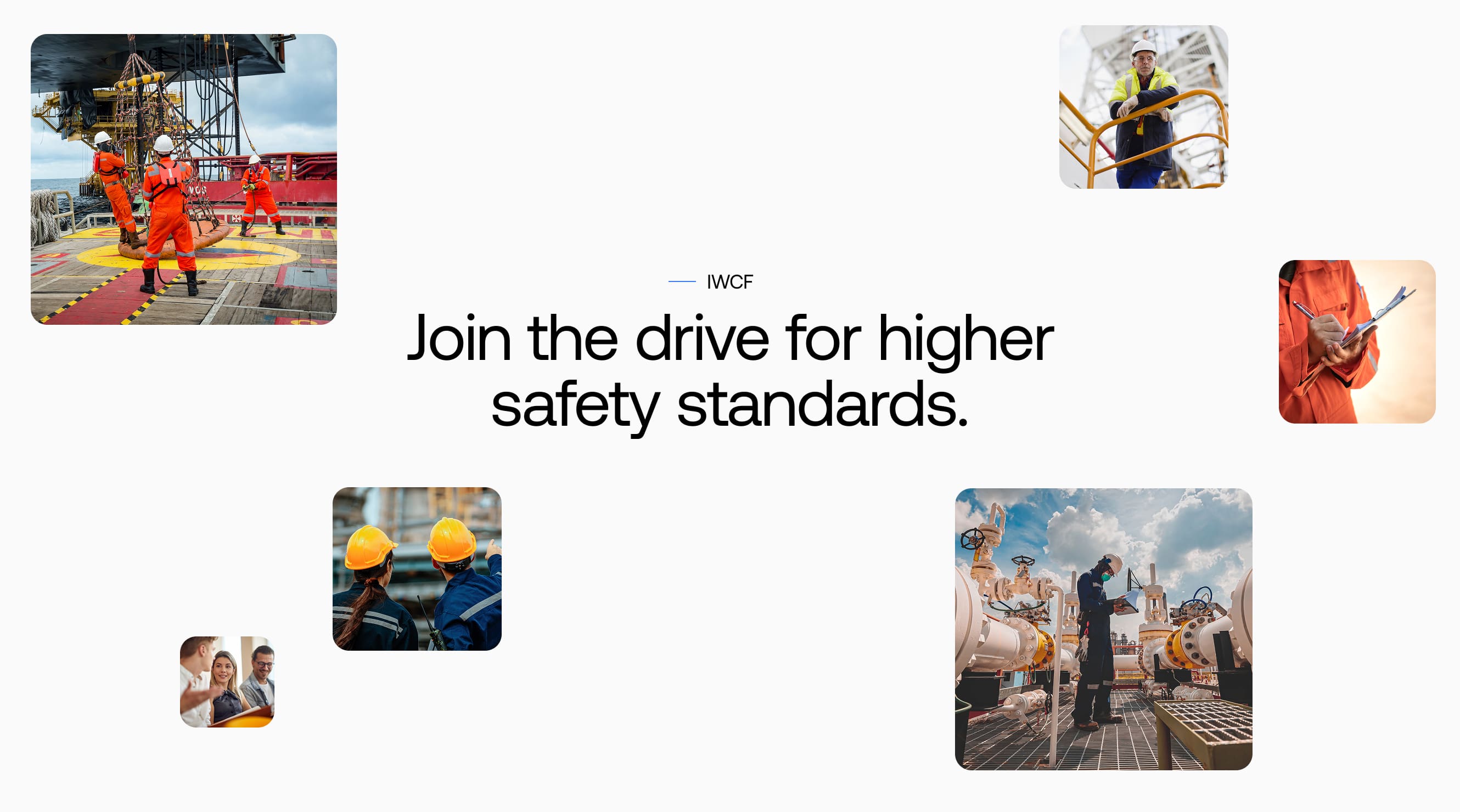 IWCF WordPress Website launch blog