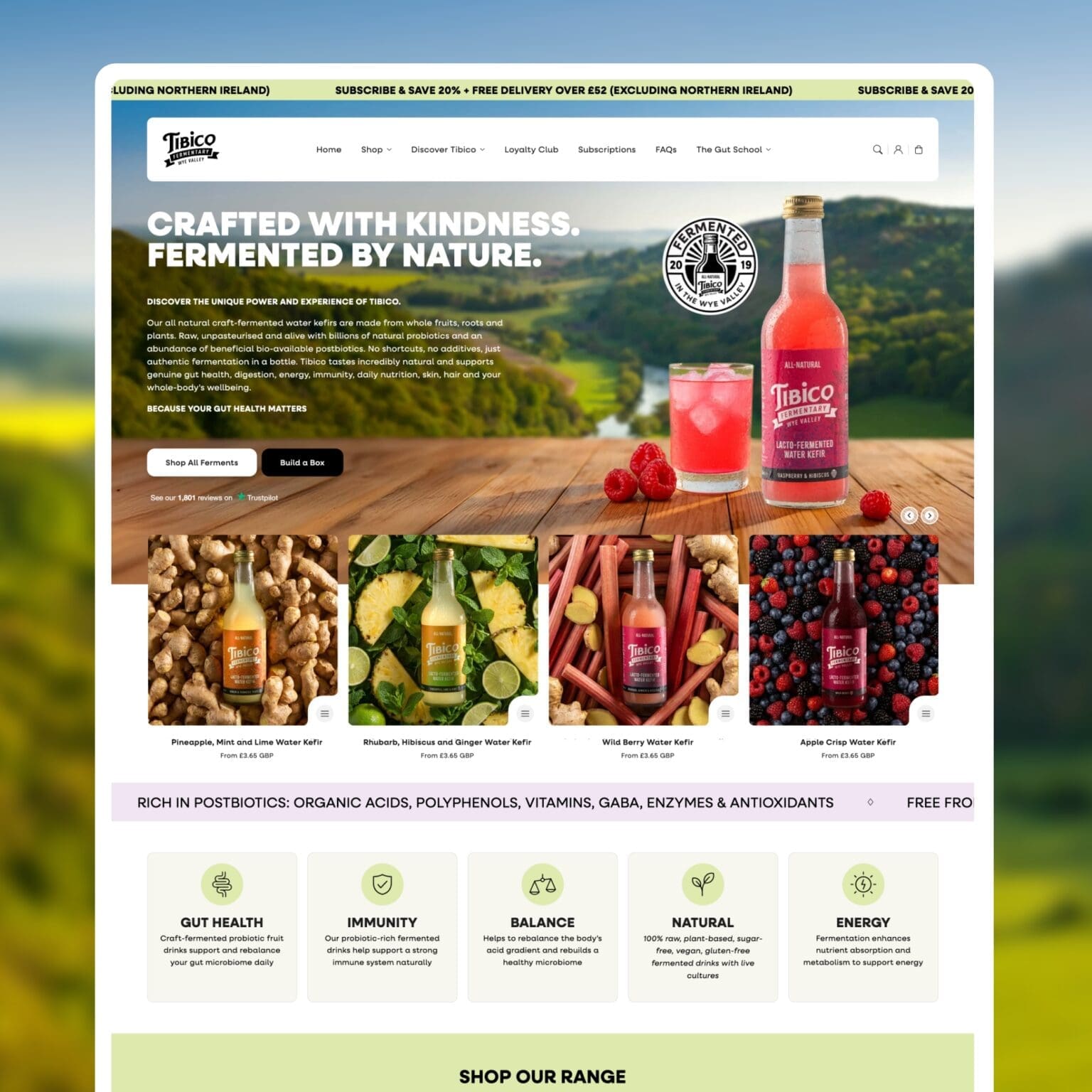 Tibico Health Shopify Website Case Study